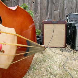 Bass with full gut strings