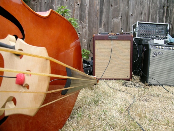Bass with full gut strings